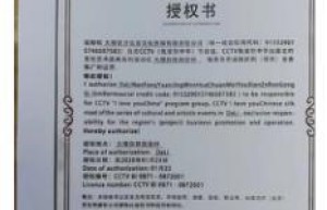 CCTV我爱你中华节目组委会的生意经